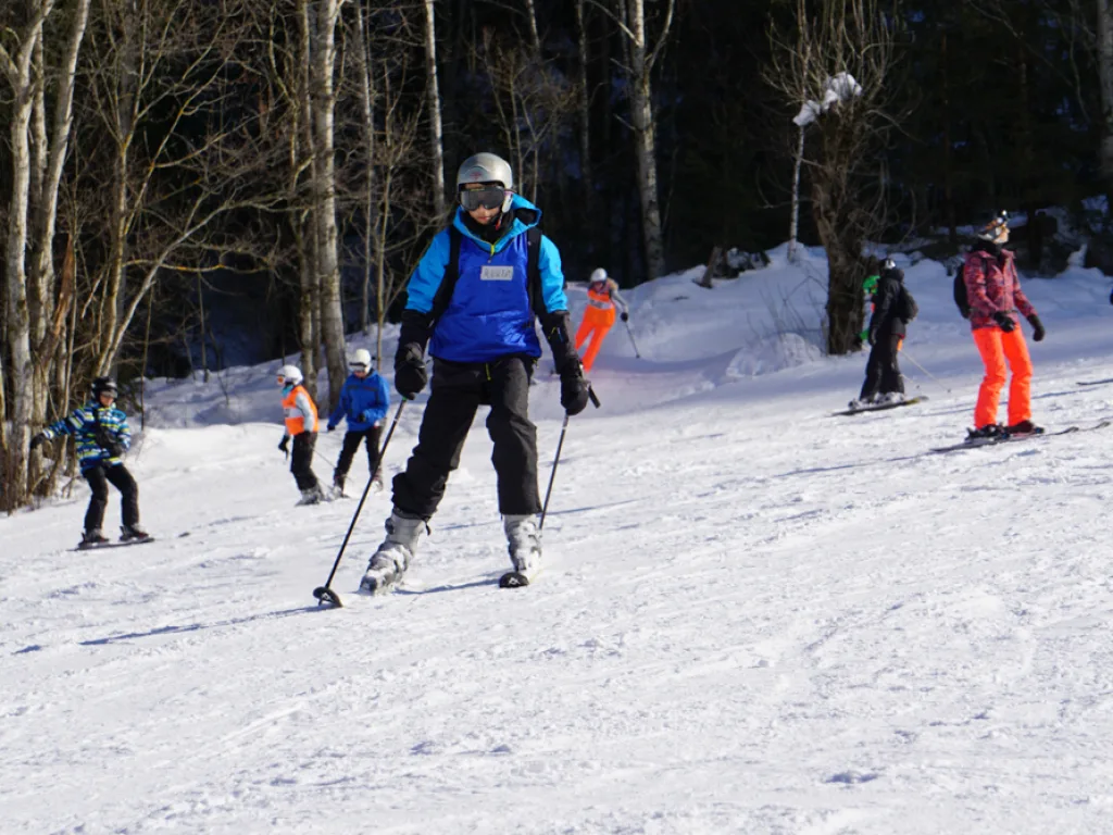 Skifahrende verteilt auf der Piste vor dem Wald.